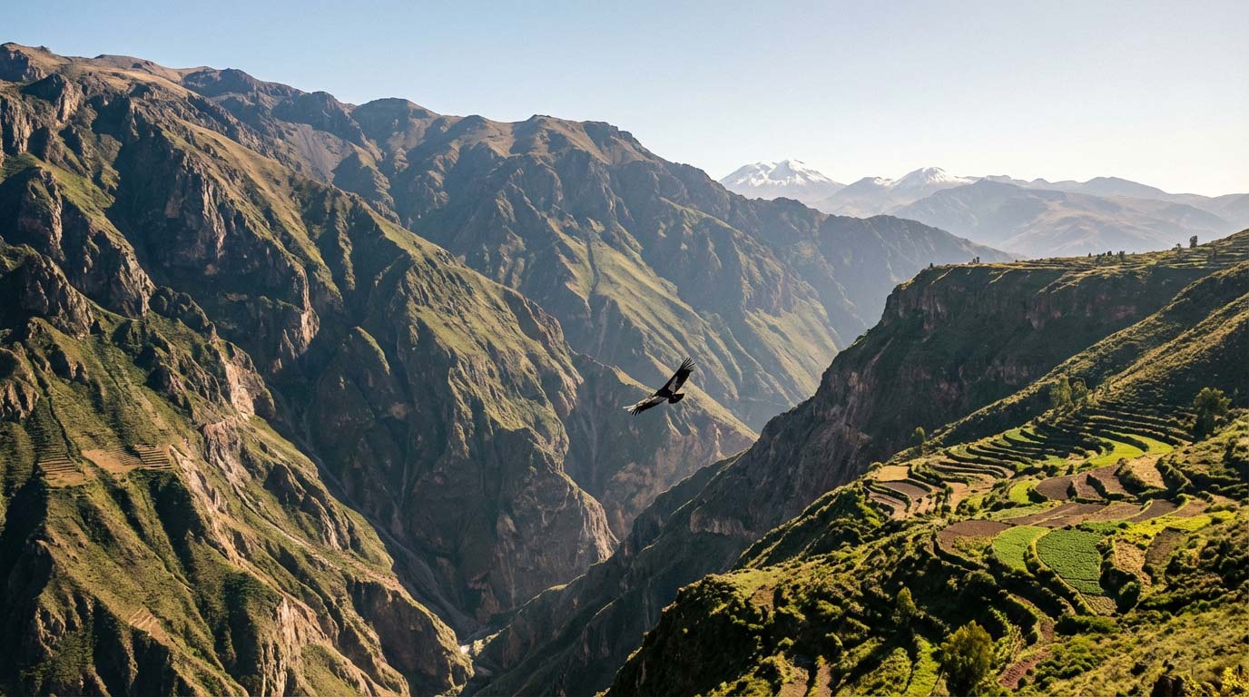 COMPLETE INCA TRAIL TOUR